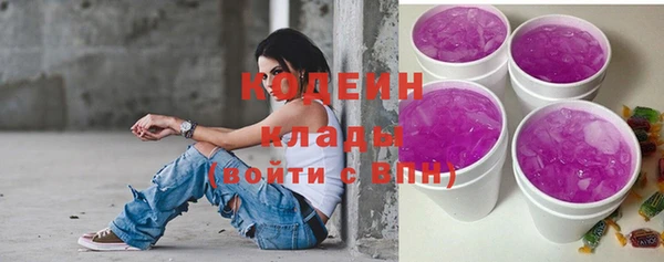 прущий лед Арсеньев