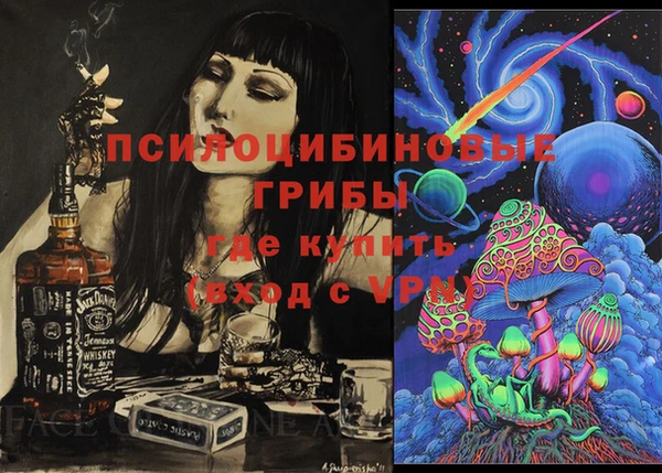 крисы Аркадак
