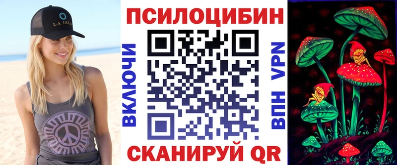 закладки  Починок  Псилоцибиновые грибы прущие грибы 